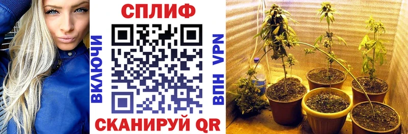 МАРИХУАНА Ganja  продажа наркотиков  Людиново 